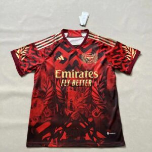 Camisola Special Arsenal 2023/24