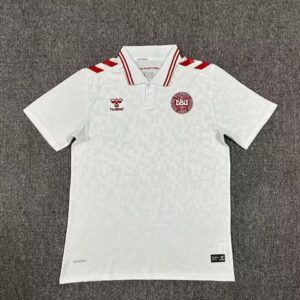 Camisola Secundária Dinamarca 2024